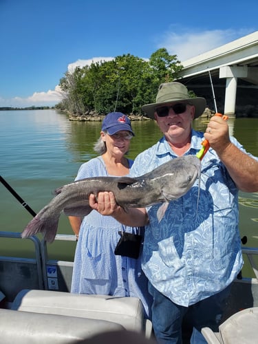 Lake Erie Catfish Special In Port Clinton