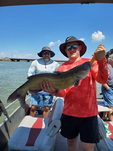 Lake Erie Catfish Special In Port Clinton