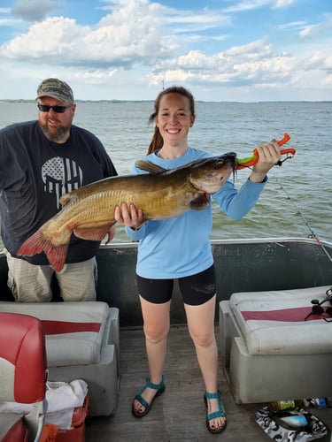 Lake Erie Catfish Special In Port Clinton