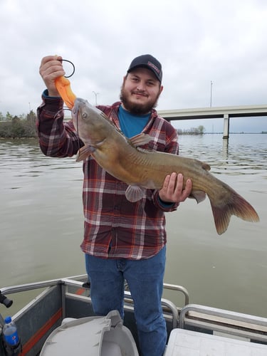 Lake Erie Catfish Special In Port Clinton