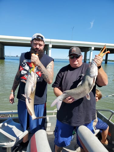 Lake Erie Catfish Special In Port Clinton