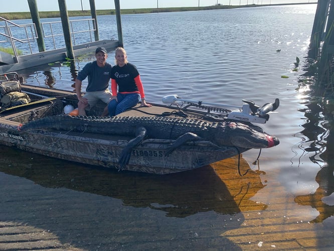Giant Gator Package In Plantation