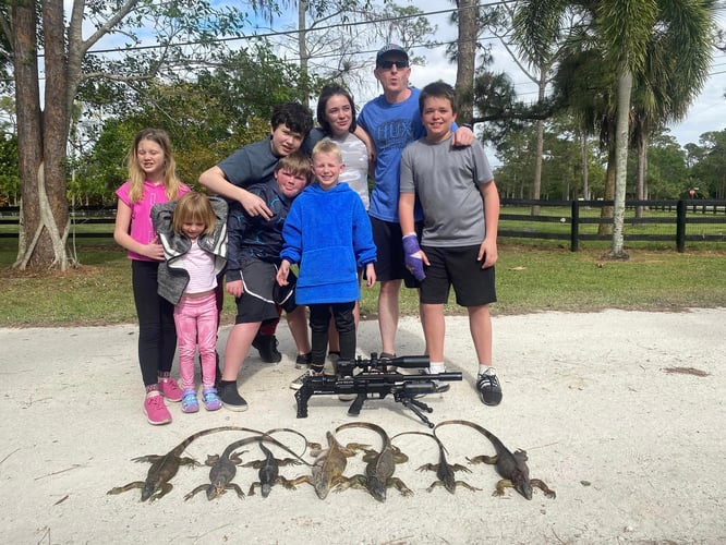 Iguana Hunting Insanity In Fort Lauderdale