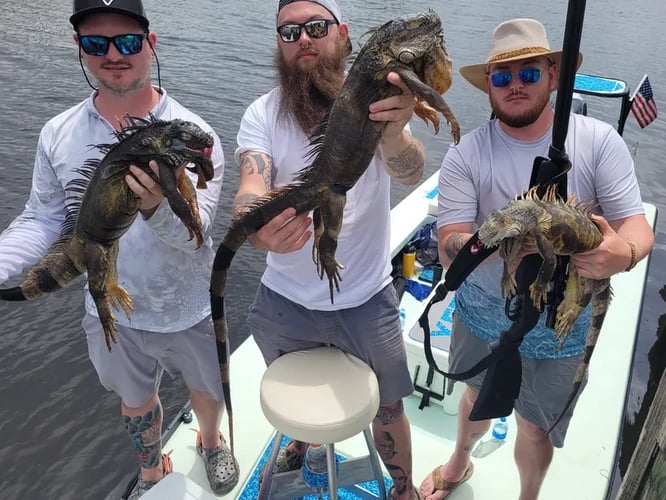 Iguana Hunting Unlimited In Panama City