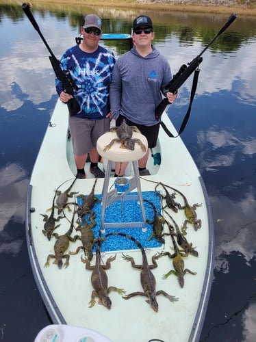Iguana Hunting Unlimited In Panama City
