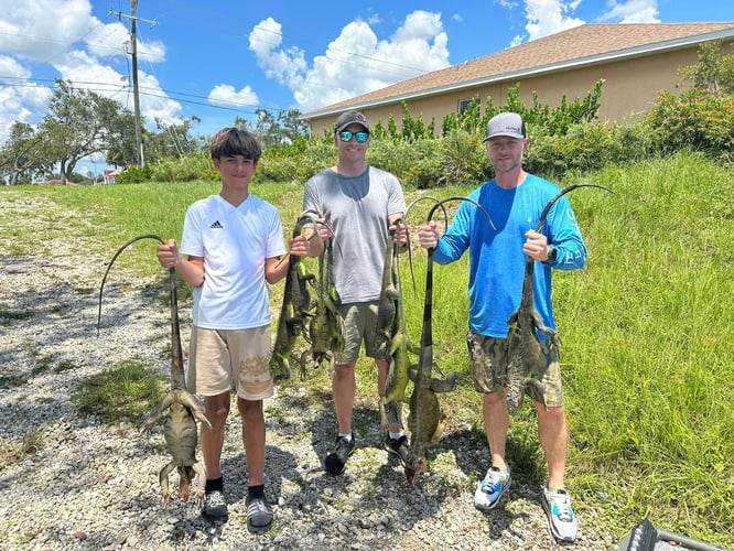 Iguana Hunting Veteran Guides In Cape Coral