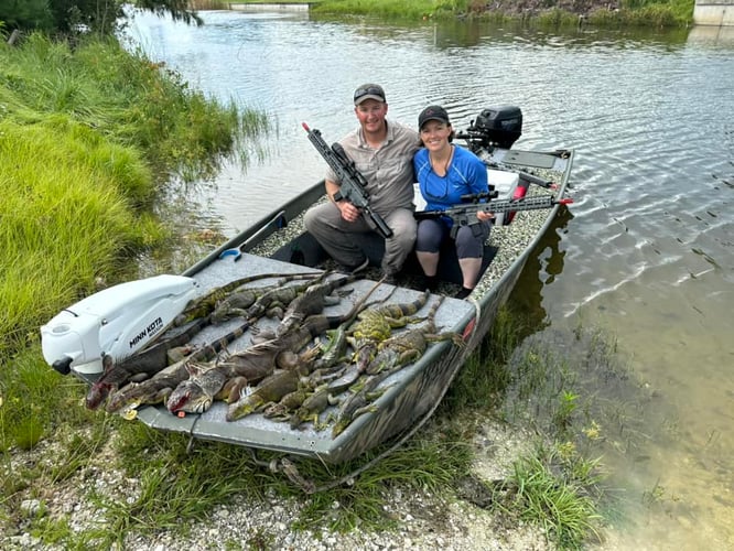 Iguana Hunting Veteran Guides In Cape Coral