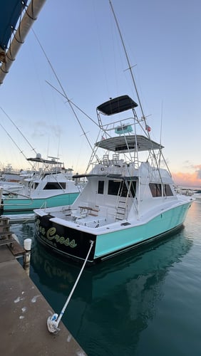 Luxury Off Shore Deep Sea Fishing In Miami Beach