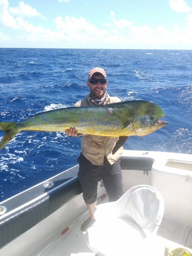 Luxury Off Shore Deep Sea Fishing In Miami