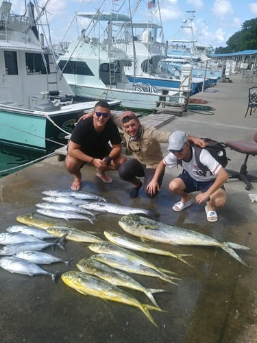 Luxury Off Shore Deep Sea Fishing In Miami Beach