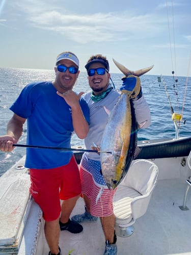 Luxury Off Shore Deep Sea Fishing In Miami