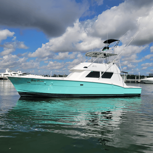 Luxury Off Shore Deep Sea Fishing In Miami