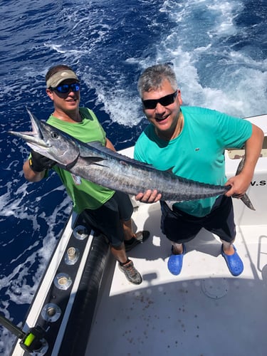 Luxury Off Shore Deep Sea Fishing In Miami