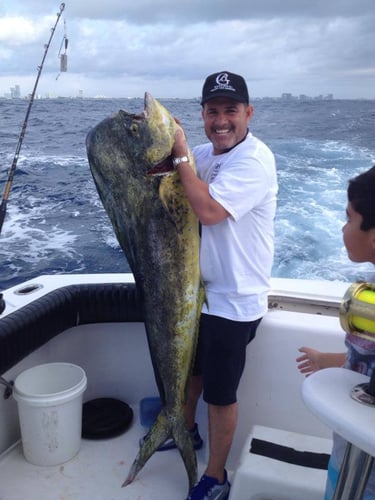 Luxury Off Shore Deep Sea Fishing In Miami