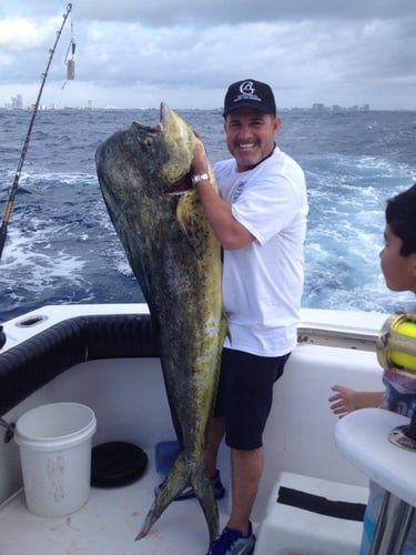 Luxury Off Shore Deep Sea Fishing In Miami Beach