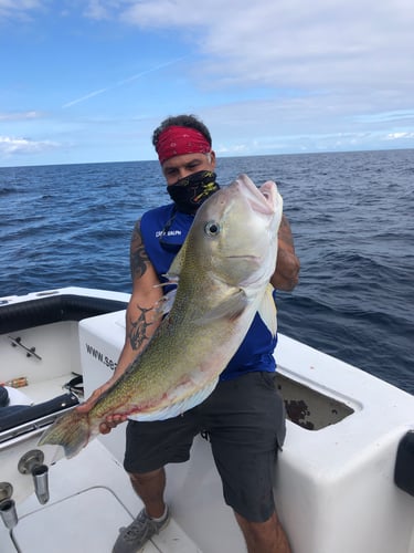 Luxury Off Shore Deep Sea Fishing In Miami