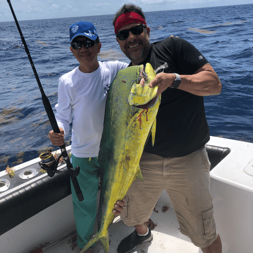 Offshore Deep Sea Fishing In Miami
