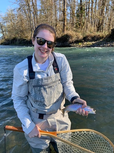 McKenzie River Fly Fishing Trip In Springfield
