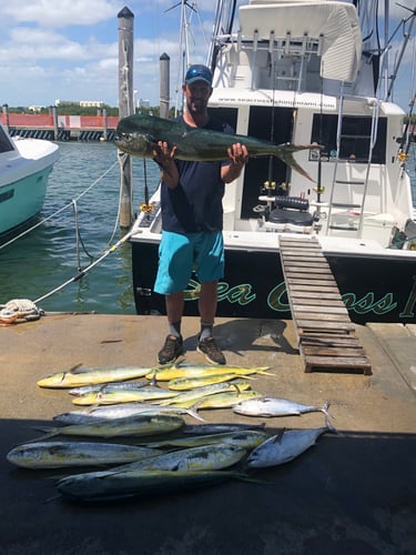 Luxury Off Shore Full Day Deep Sea Fishing In Miami Beach