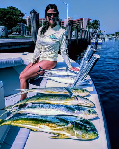 Shark Smash! In Pompano Beach