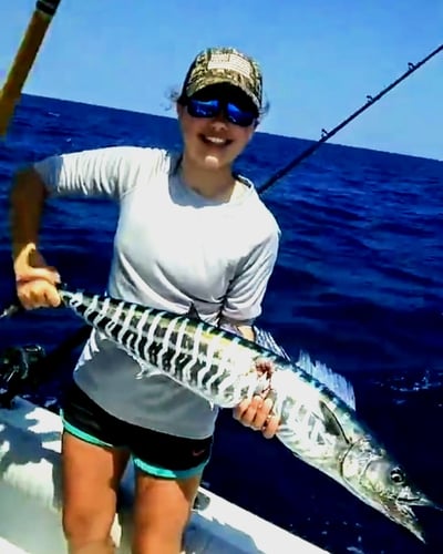 Shark Smash! In Pompano Beach