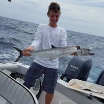 Shark Smash! In Pompano Beach