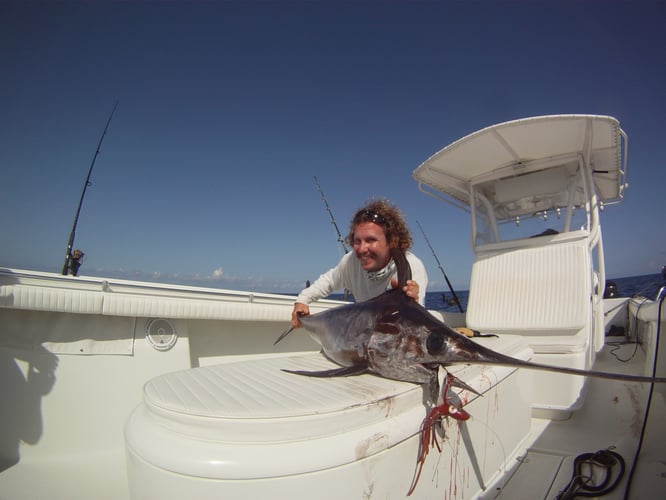 Shark Smash! In Pompano Beach