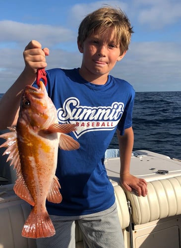 Coastal Waters Fun! In San Diego