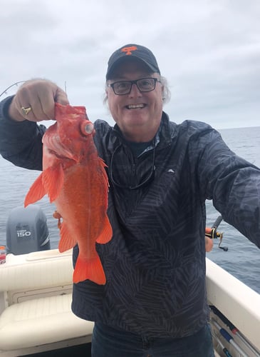 Coastal Waters Fun! In San Diego