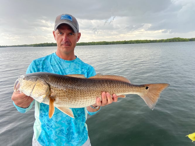 Grouper And Snapper Trips In Ruskin