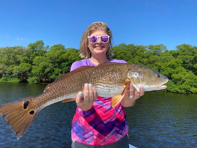 Grouper And Snapper Trips In Ruskin