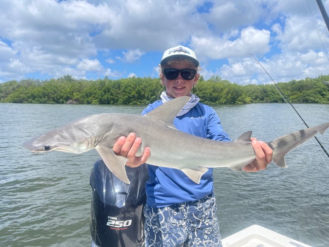 Grouper And Snapper Trips In Ruskin