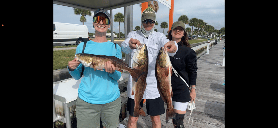 Grouper And Snapper Trips In Ruskin