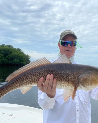 Grouper And Snapper Trips In Ruskin