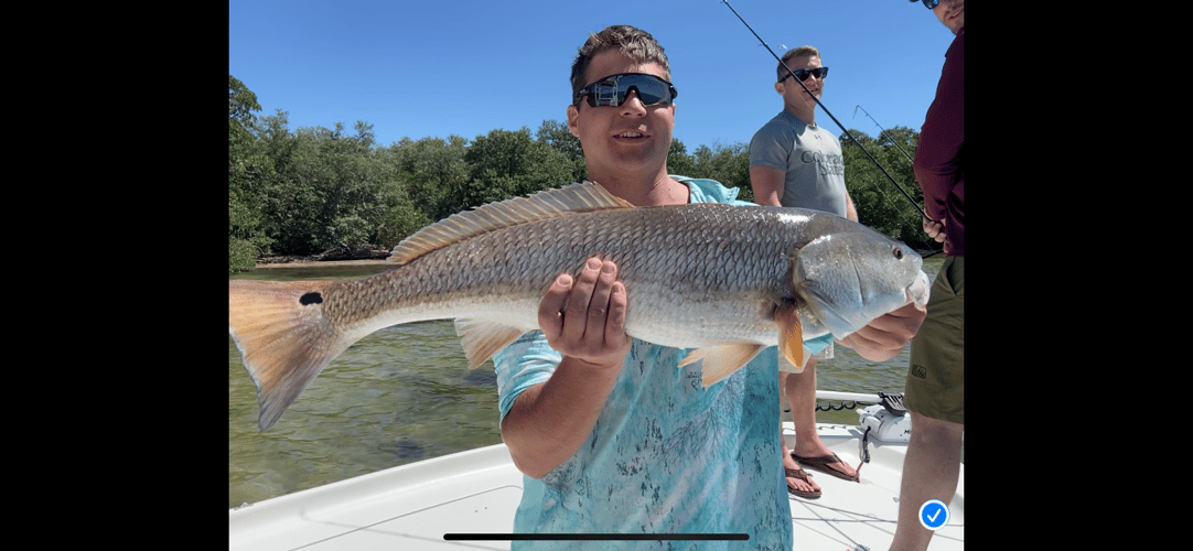 Grouper And Snapper Trips In Ruskin