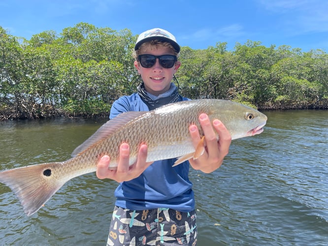 Grouper And Snapper Trips In Ruskin