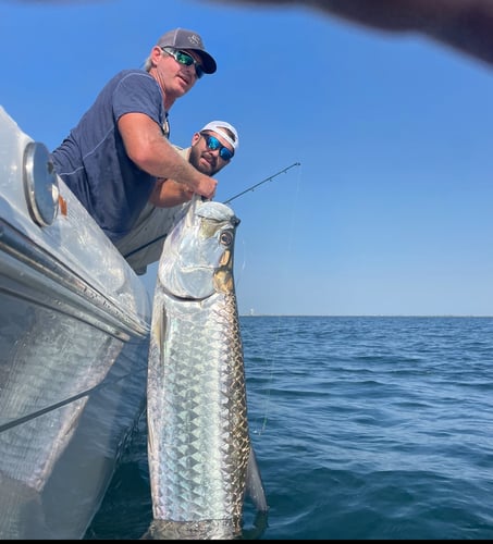 8 Hour Tarpon Trip In Galveston