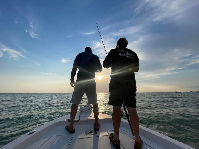 Inshore Insanity In Clearwater