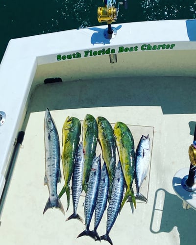 Fishing For A Cure In Pompano Beach