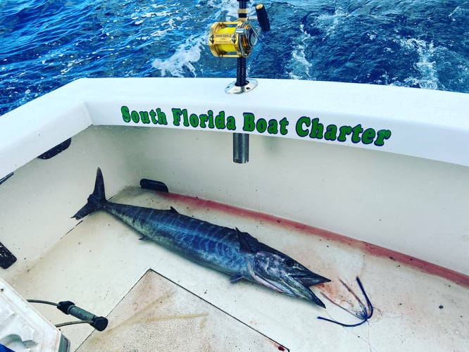 Fishing For A Cure In Pompano Beach