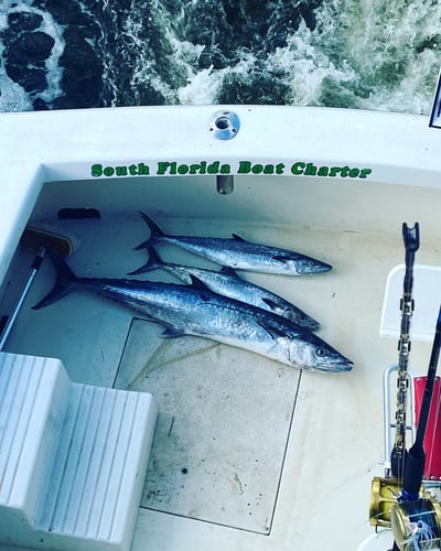 Fishing For A Cure In Pompano Beach