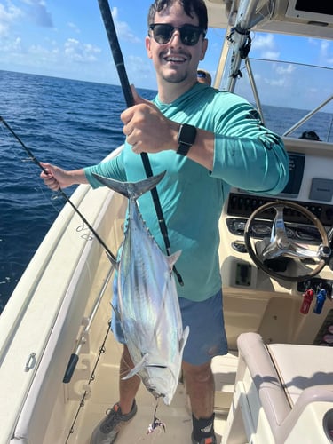 Reef Fishing In Little Torch Key