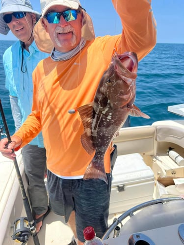 Reef Fishing In Little Torch Key