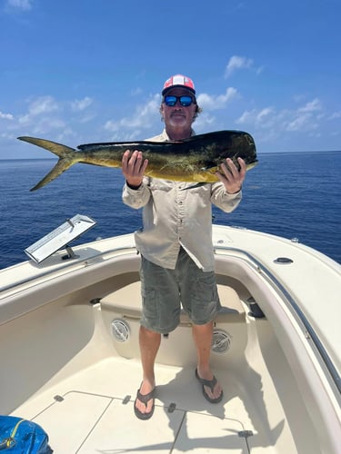 Reef Fishing In Little Torch Key