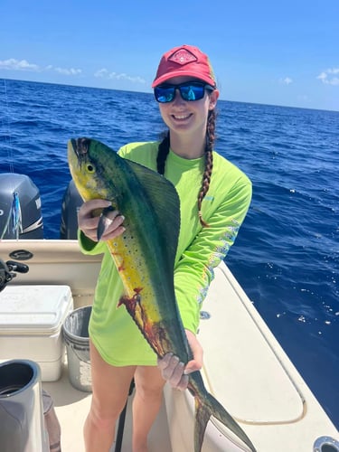 Epic Fish And Snorkel Combo In Little Torch Key