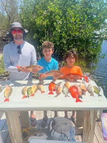 Reef Fishing In Little Torch Key