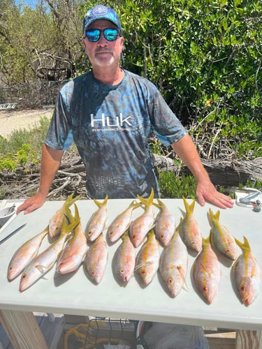 Reef Fishing In Little Torch Key