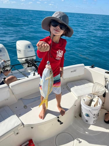 Epic Fish And Snorkel Combo In Little Torch Key