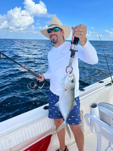 Epic Fish And Snorkel Combo In Little Torch Key