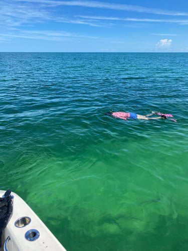 Lobstering And Reef Snorkeling Combo In Little Torch Key